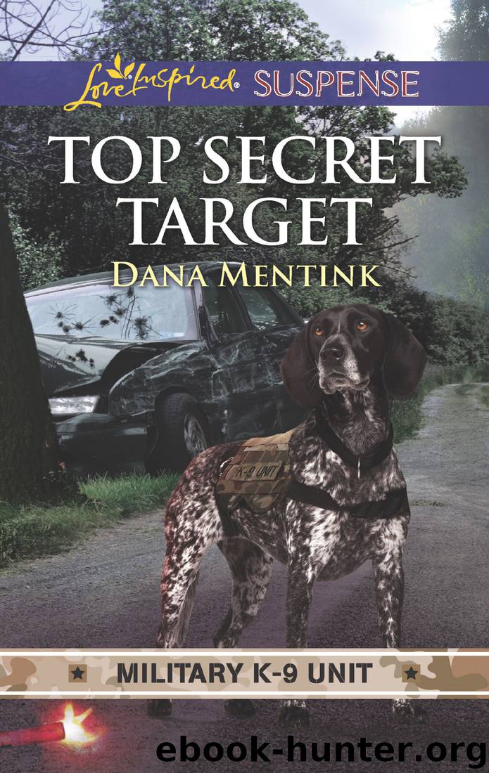 Top Secret Target by Dana Mentink