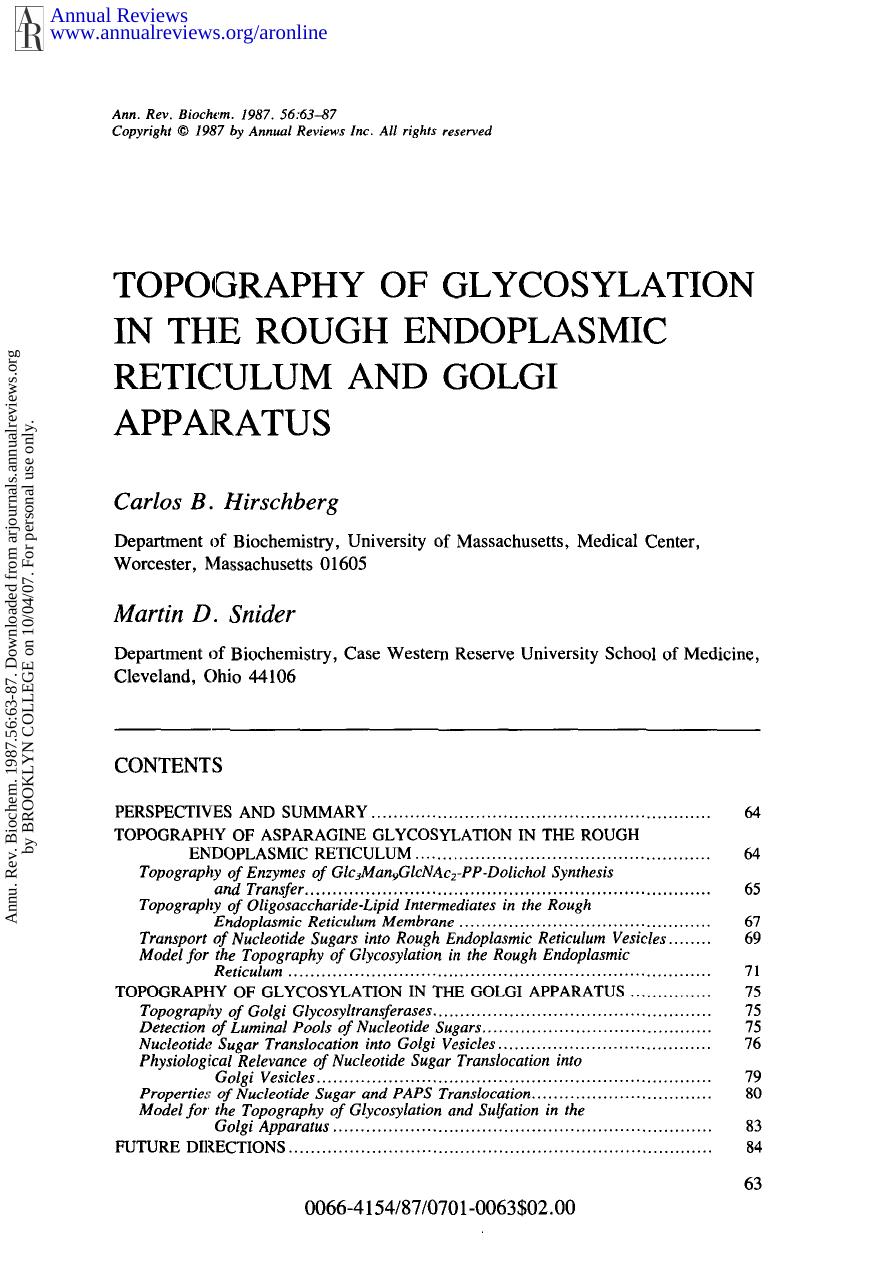 Topography of Glycosylation in The Rough Endoplasmic Reticulum and Golgi Apparatus by C B Hirschberg & M D Snider