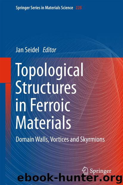 Topological Structures in Ferroic Materials by Jan Seidel