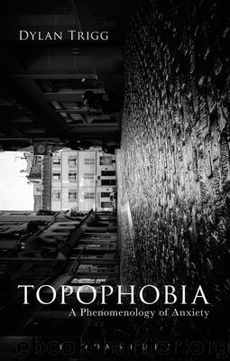 Topophobia: A Phenomenology of Anxiety by Dylan Trigg