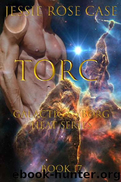 Torc by Jessie Rose Case