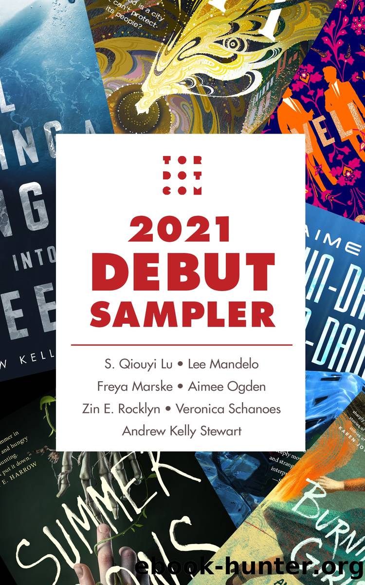 Tordotcom Publishing 2021 Debut Sampler by S. Qiouyi Lu Lee Mandelo Freya Marske Aimee Ogden Zin E. Rocklyn and Andrew Kelly Stewart