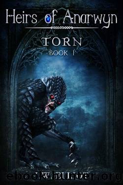 Torn (Heirs of Anarwyn, Book 1) by J.W. Elliot