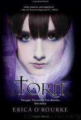 Torn - 1 by Erica O'Rourke