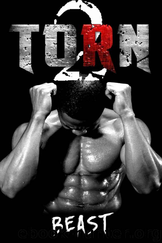 Torn 2 by Beast