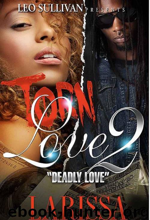 Torn Love 2 by Larissa