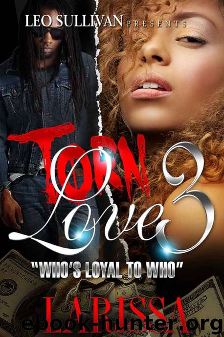 Torn Love 3 by Larissa