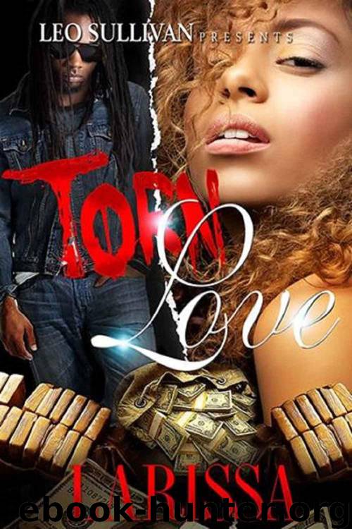 Torn Love by Larissa