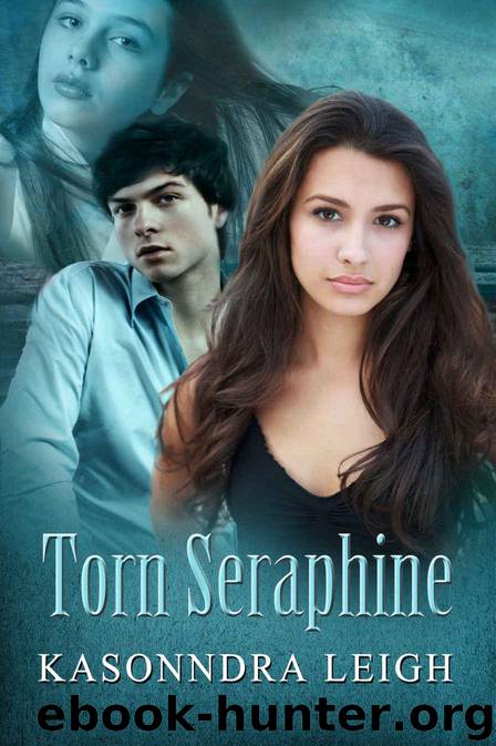 Torn Seraphine by KaSonndra Leigh