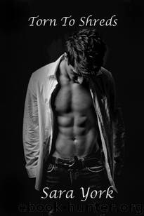 Torn To Shreds by Sara York