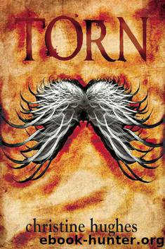 Torn by Christine Hughes