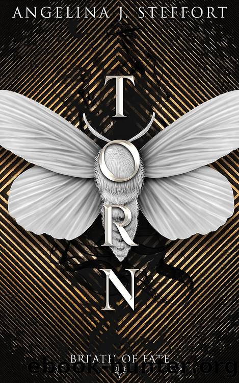 Torn by Steffort Angelina J