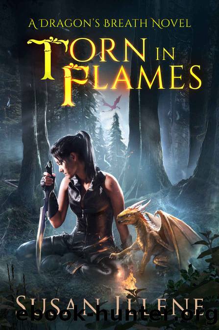 Torn in Flames by Susan Illene
