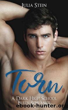 Torn: A Dark High School Bully Romance (Stonehill Academy Book 1) by Julia Stein