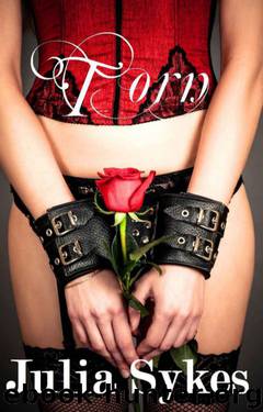 Torn: The Complete Series by Julia Sykes