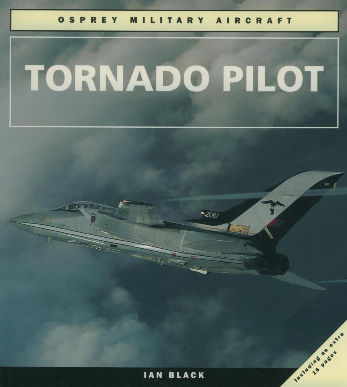 Tornado Pilot by Ian Black