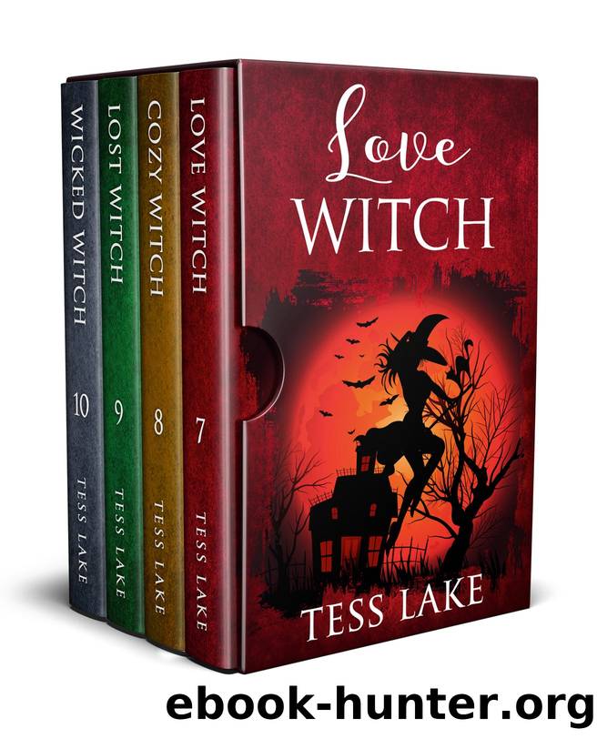 Torrent Witches Cozy Mysteries Box Set #3 Books 7--10 by Tess Lake