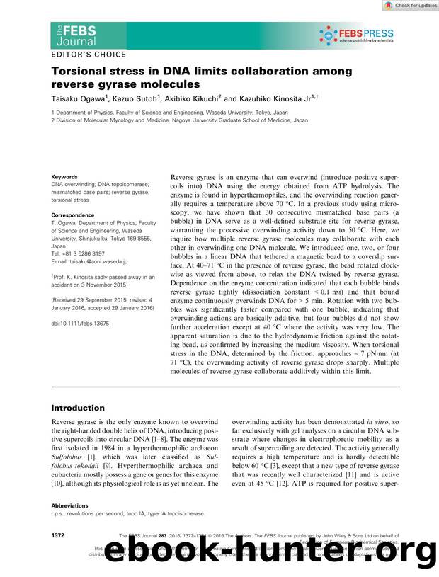 Torsional stress in DNA limits collaboration among reverse gyrase molecules by Unknown