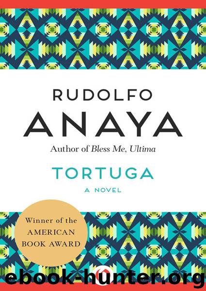 Tortuga by Rudolfo Anaya