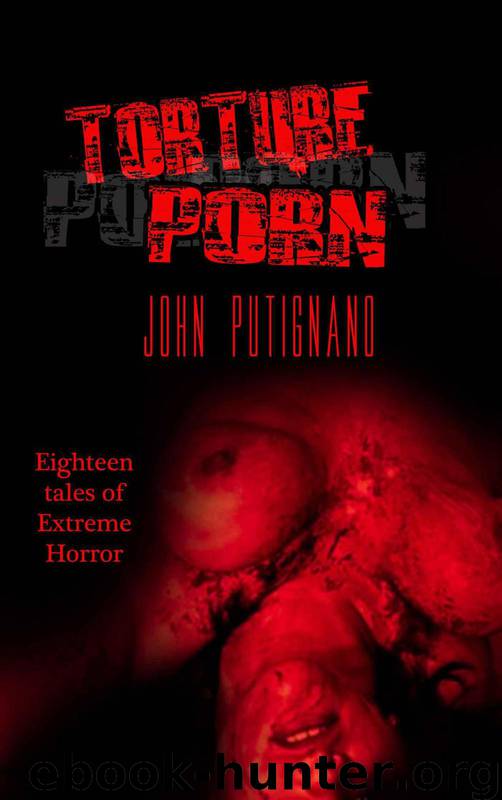 Torture Porn by John Putignano
