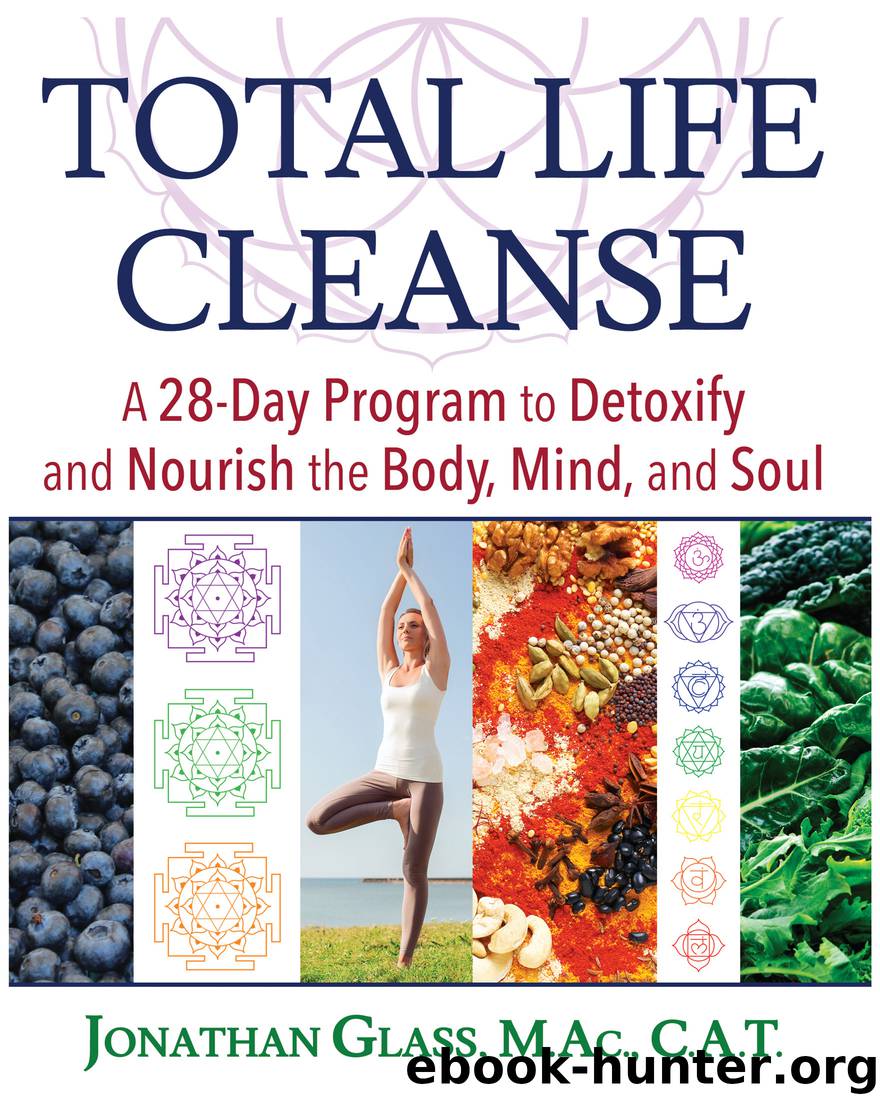 Total Life Cleanse by Jonathan Glass