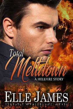 Total Meltdown (Hellfire Series Book 7) by Elle James