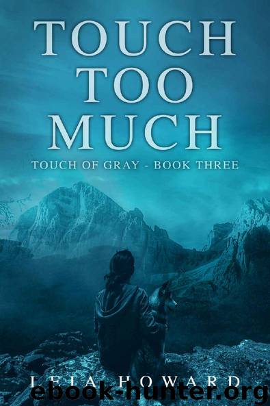 Touch Too Much by Leia Howard
