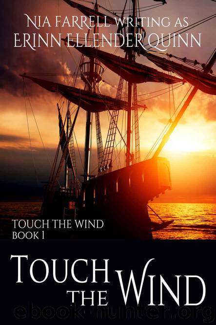 Touch the Wind: Touch the Wind Book 1 by Erinn Ellender Quinn