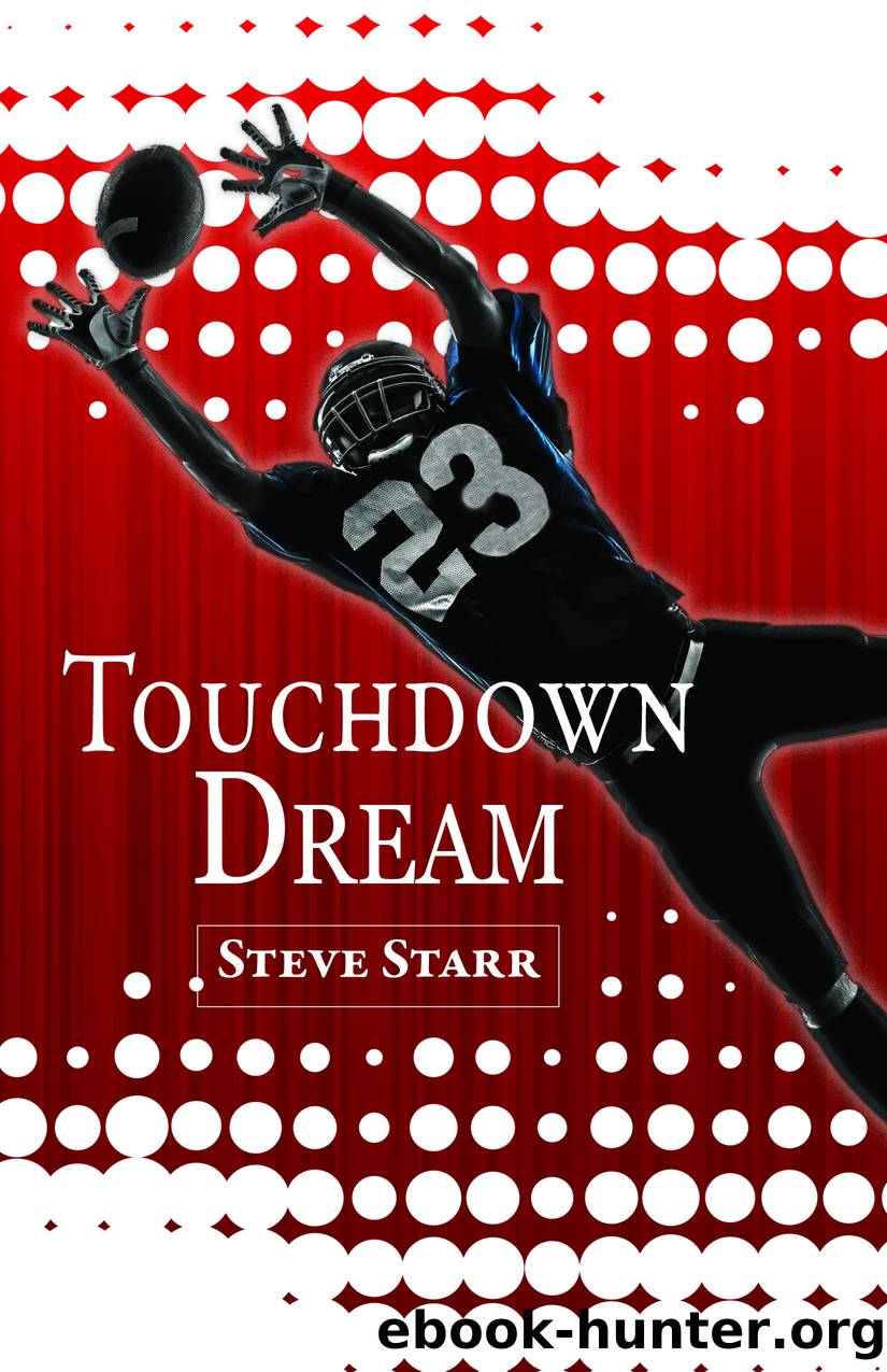 Touchdown Dream by Steve Starr
