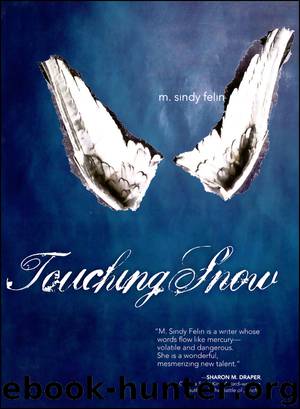 Touching Snow by M. Sindy Felin
