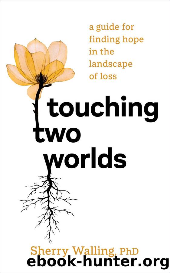Touching Two Worlds by Sherry Walling