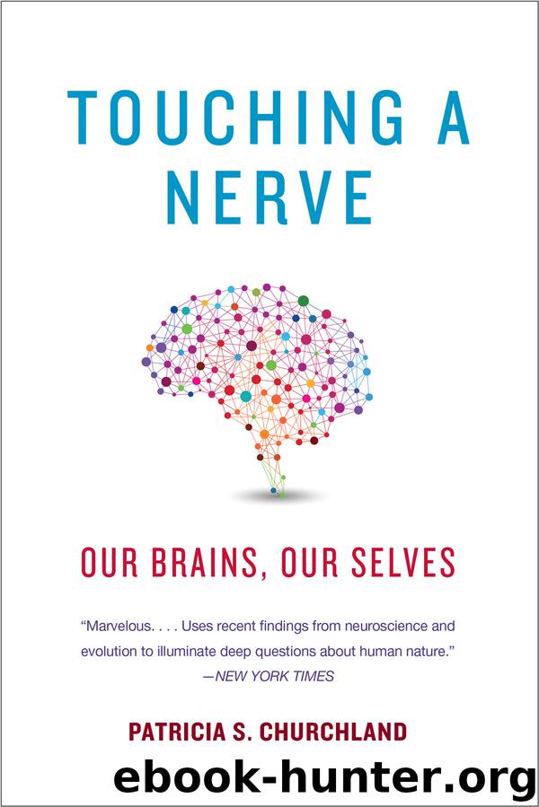 Touching a Nerve by Patricia Churchland