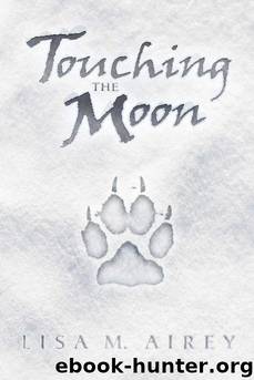 Touching the Moon by Lisa M Airey