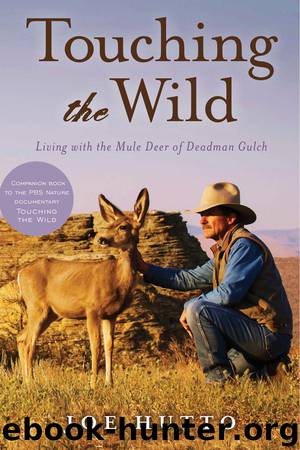 Touching the Wild by Joe Hutto