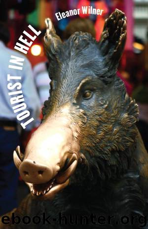 Tourist in Hell by Eleanor Wilner