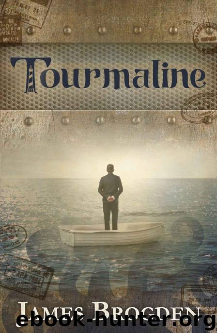 Tourmaline by James Brogden