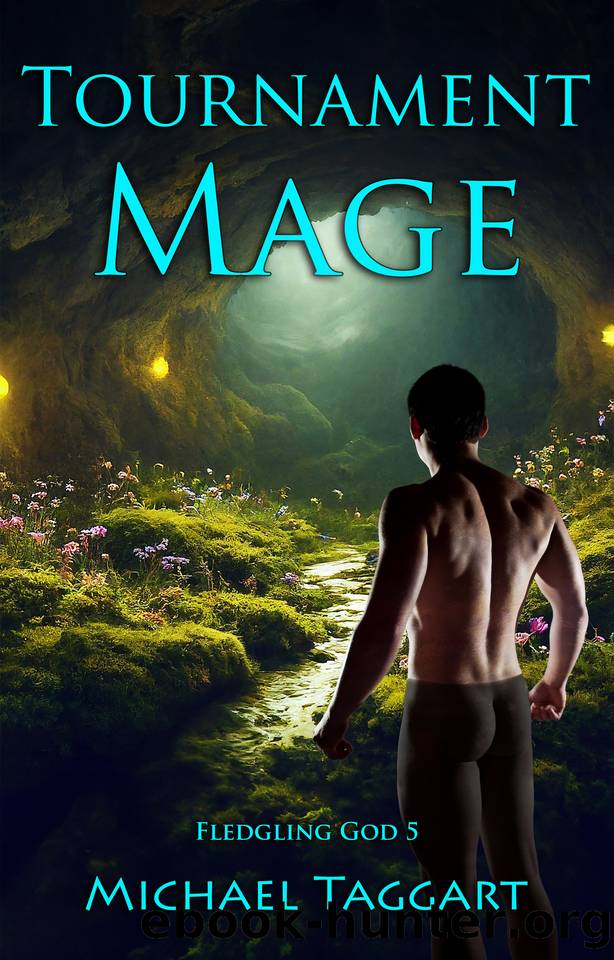 Tournament Mage: Fledgling God: book 5 by Michael Taggart