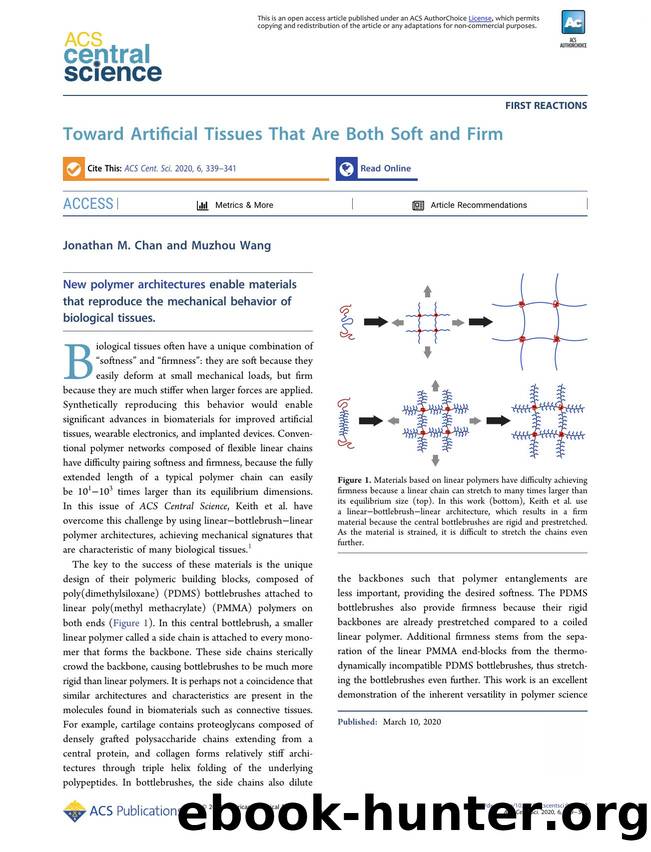 Toward Artificial Tissues That Are Both Soft and Firm by Jonathan M. Chan & Muzhou Wang (ORCID: 0000-0002-7054-3022)