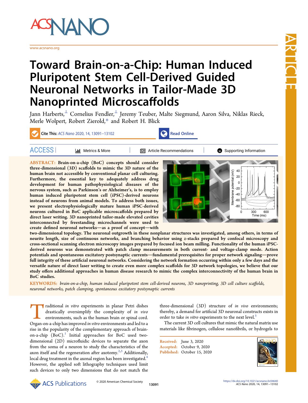 Toward Brain-on-a-Chip: Human Induced Pluripotent Stem Cell-Derived Guided Neuronal Networks in Tailor-Made 3D Nanoprinted Microscaffolds by unknow