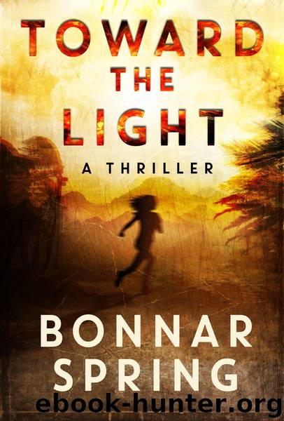 Toward the Light by Bonnar Spring