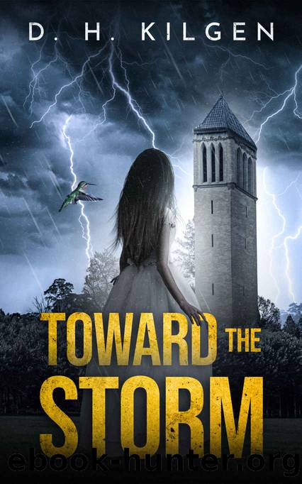Toward the Storm by D.H. Kilgen