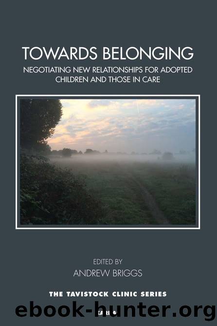 Towards Belonging : Negotiating New Relationships for Adopted Children and Those in Care by Andrew Briggs