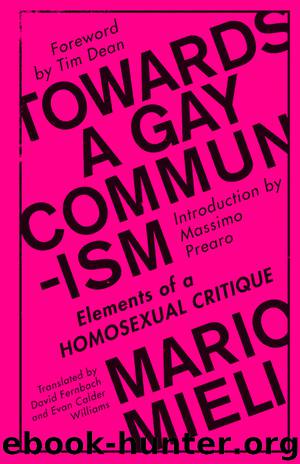 Towards a Gay Communism by Mieli Mario;