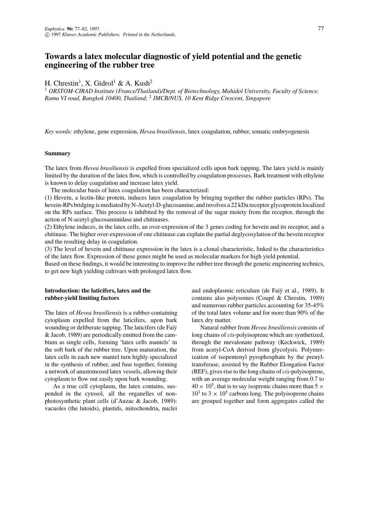Towards a latex molecular diagnostic of yield potential and the genetic engineering of the rubber tree by Unknown