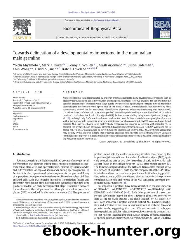 Towards delineation of a developmental Î±-importome in the mammalian male germline by unknow