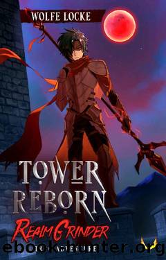 Tower Reborn: A LitRPG Adventure (Realm Grinder Book 1) by Wolfe Locke