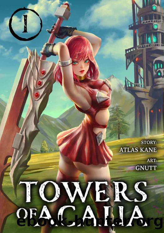 Towers of Acalia: The Reincarnated Core Vol 1 by Kane Atlas