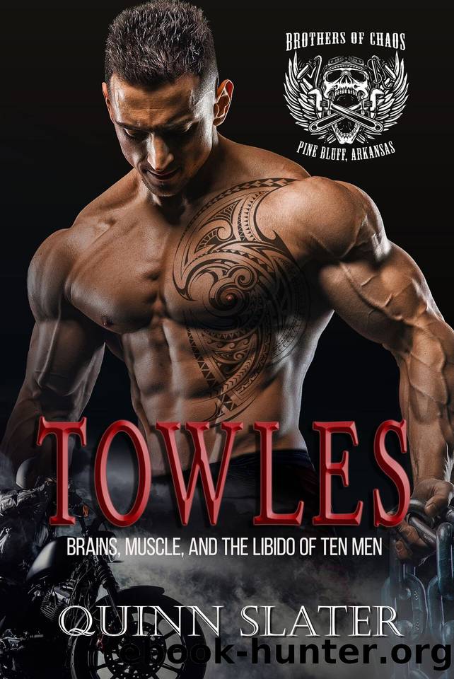 Towles: Brothers of Chaos MC #3 by Quinn Slater