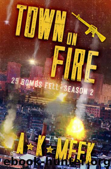 Town on Fire: A Post-Apocalyptic EMP Survival Series, 25BF Season 2 (25 Bombs Fell) by A.K. Meek