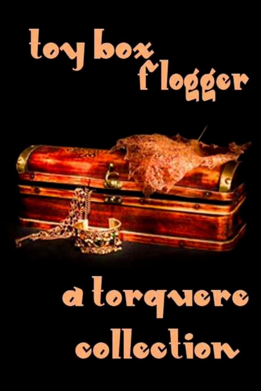 Toy Box: Flogger by Sean Michael Chris Owen Jay Lygon